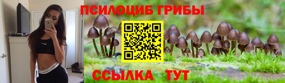 Псилоцибиновые грибы Cubensis  Вход с VPN  Конаково 